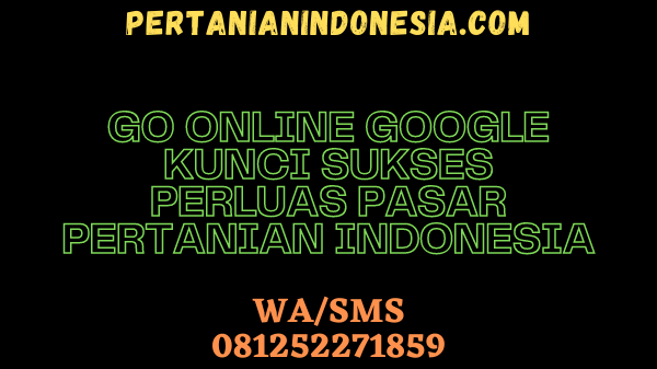 GO ONLINE GOOGLE KUNCI SUKSES PERLUAS PASAR PERTANIAN INDONESIA
